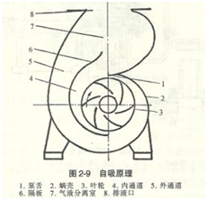 大东海泵业自吸泵原理图